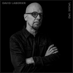 David Laborier-Lux - Owl Skewl